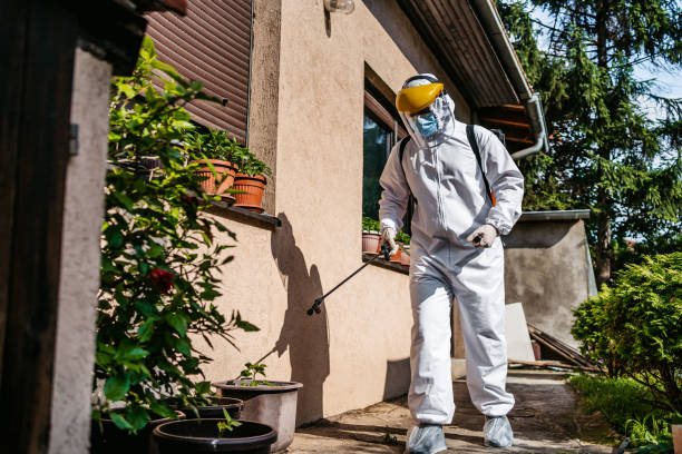 Best Affordable Pest Control Services  in West Miami, FL